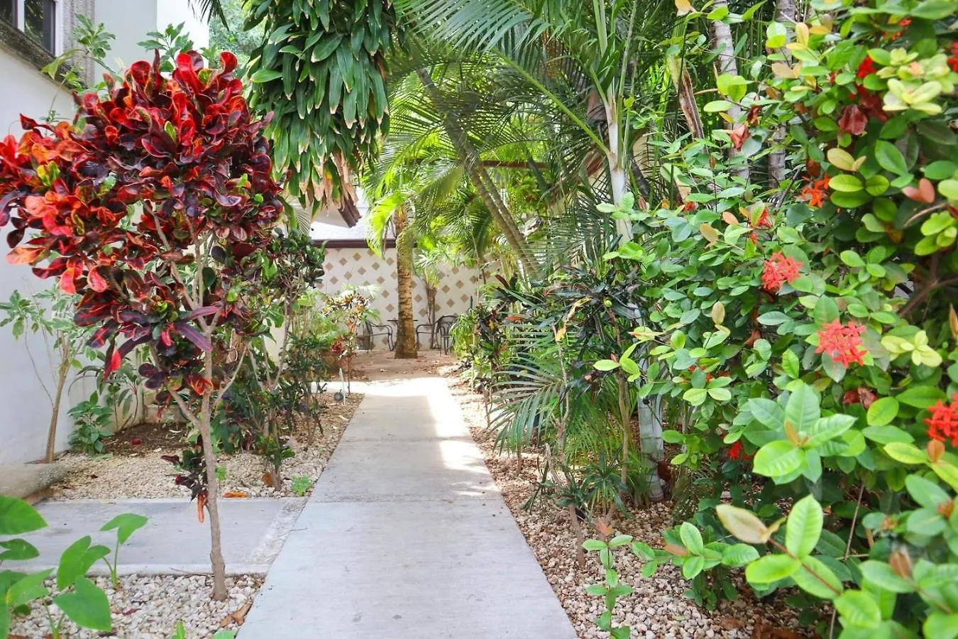 Cozy Stay Near 5Th Ave And Beach 신데 델 카르멘